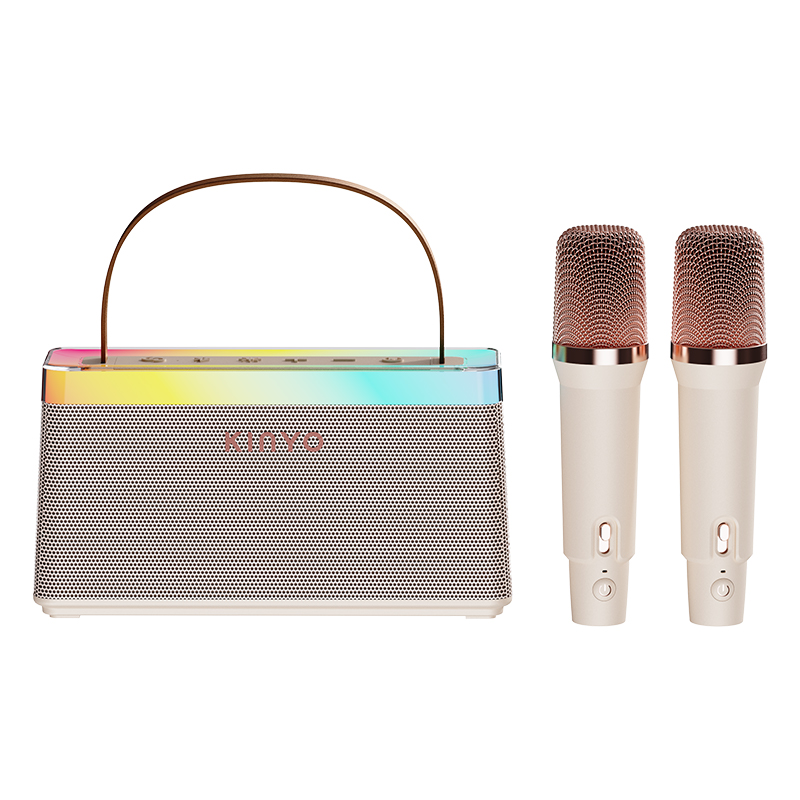 KINYO金运K歌音响麦克风C10